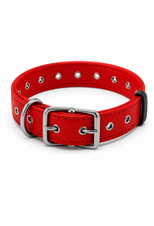 Premium Dog Collar Adjustable